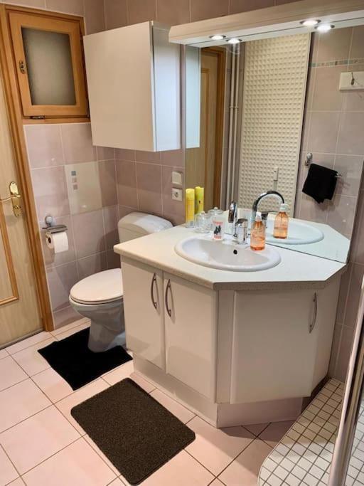Grand Appartement 2 Chambres 5 Pers Max, Vue Panoramique Avec Parking Mulhouse Exterior photo